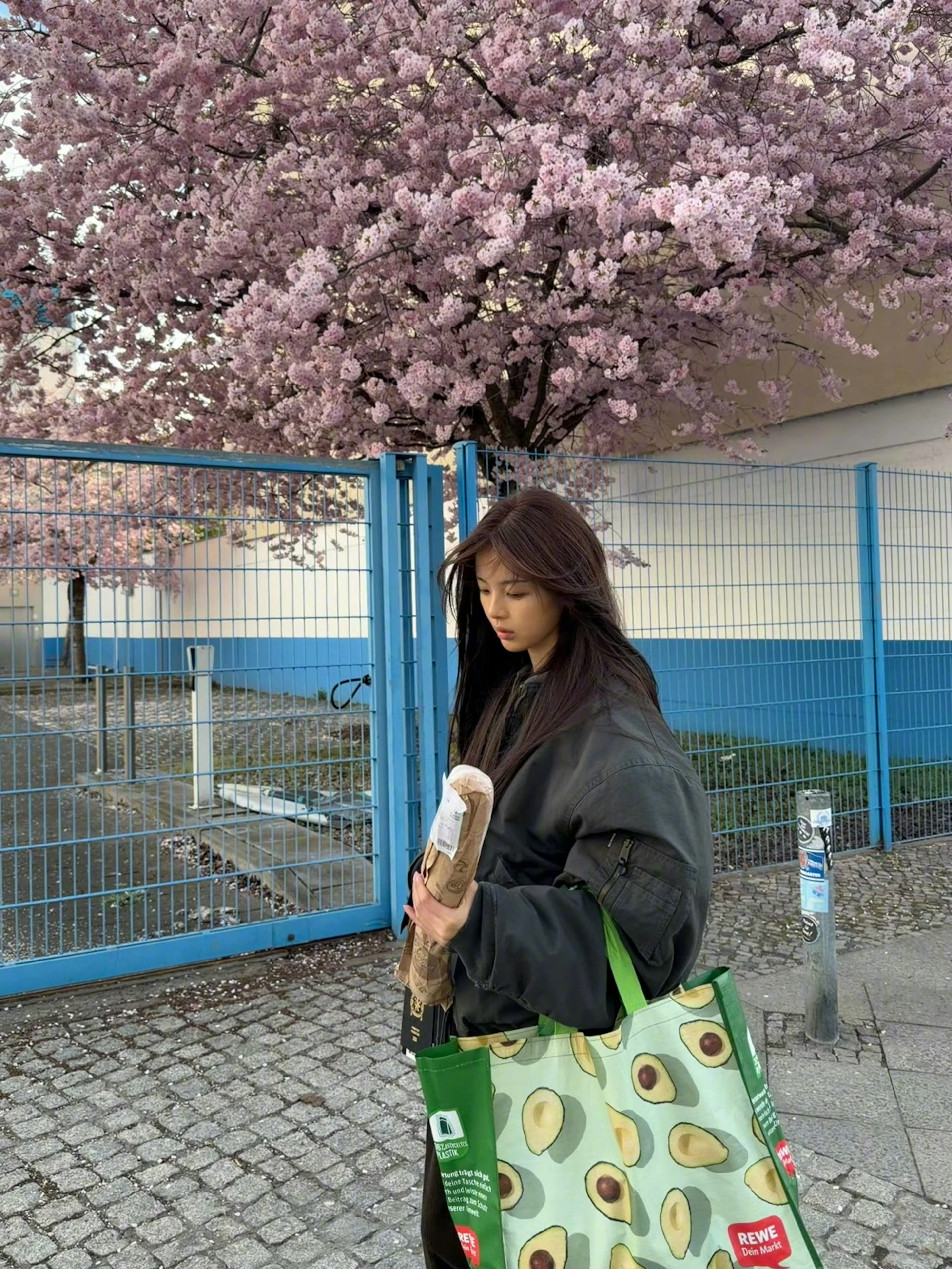 樱花树下的杨超越杨超越英国随拍更新！樱花街道、海边日落、复古城堡，还有随手拍的松