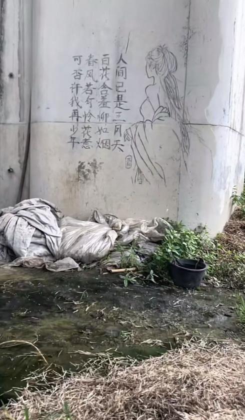 “当代网友真的是太有才了！”一位网友在桥洞下拍到三合大神随手在墙上写下的诗句：“