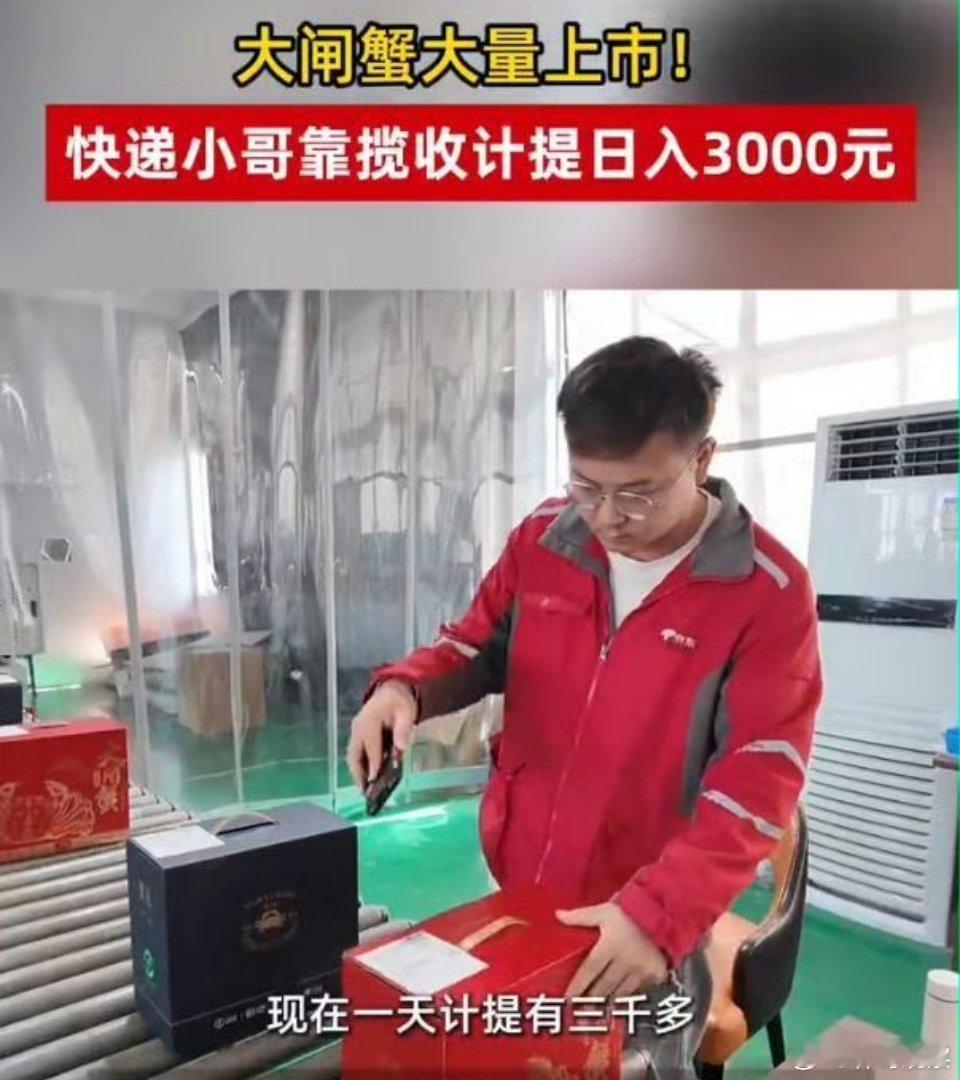 日入三千大闸蟹揽收员回应被催婚这年头，靠谱比啥都值钱！大闸蟹旺季，苏州98年快递