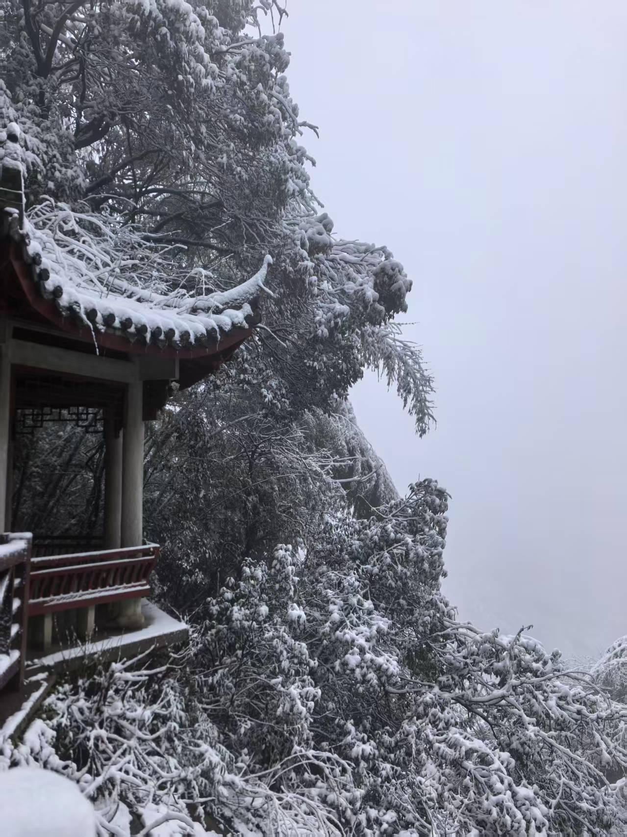 哇！莫干山上竟然下了这么大的雪——朋友圈再次被江南的雪景刷屏！莫干山已经来到一
