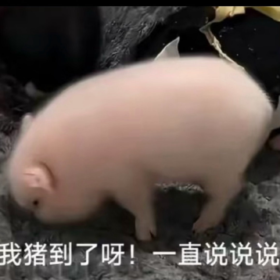 我怎么又梦到xxj了。​​​