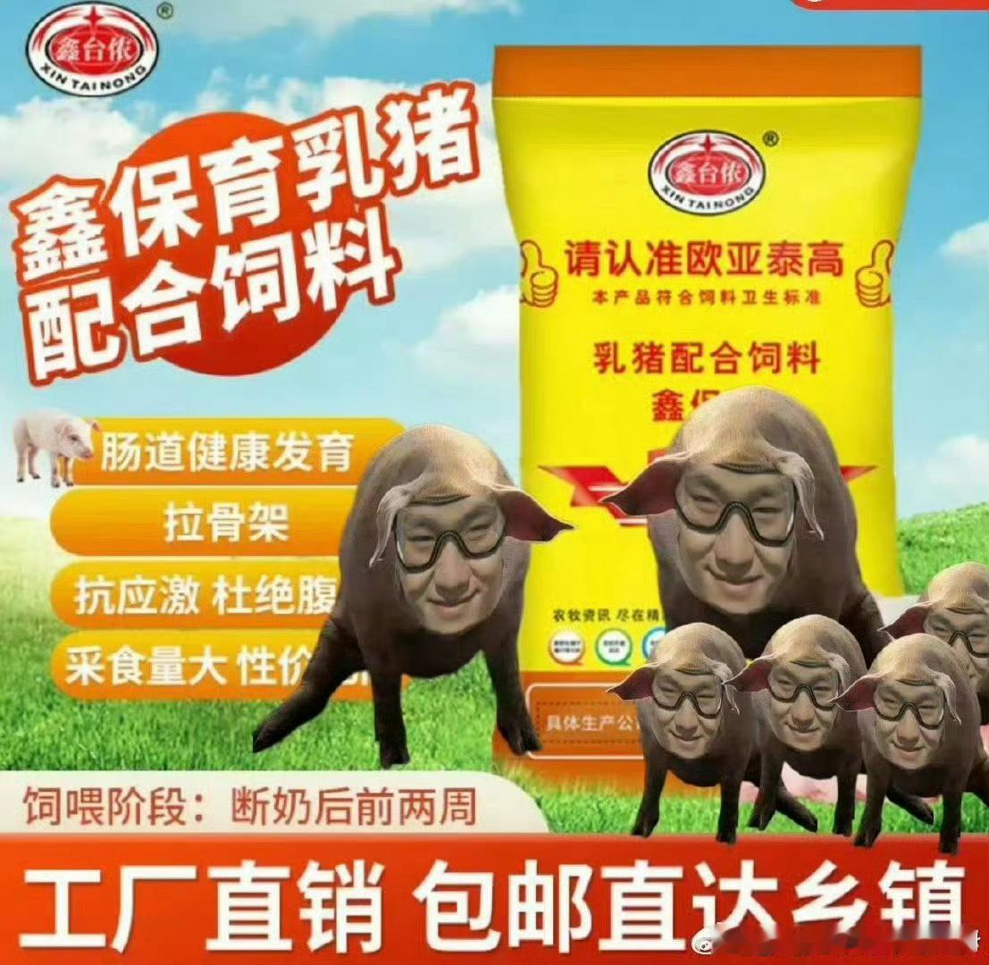 最适配丁程鑫天生坏种