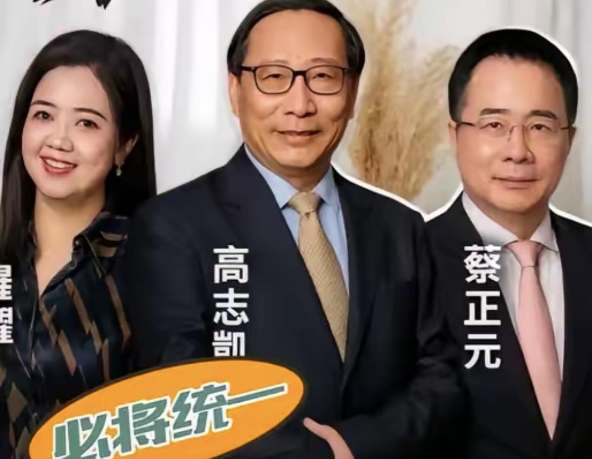 高志凯要去台湾蔡正元家里吃饭，蔡正元表示要铺20米红地毯欢迎高志凯。在11月1