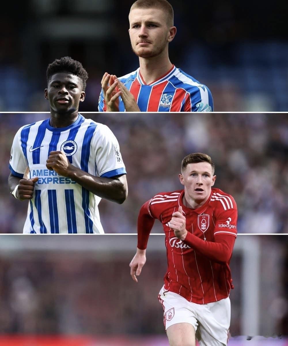 如果冬窗就能为老特拉福德带来两名中场，我会毫不犹豫选择安德森和巴莱巴。将他们组