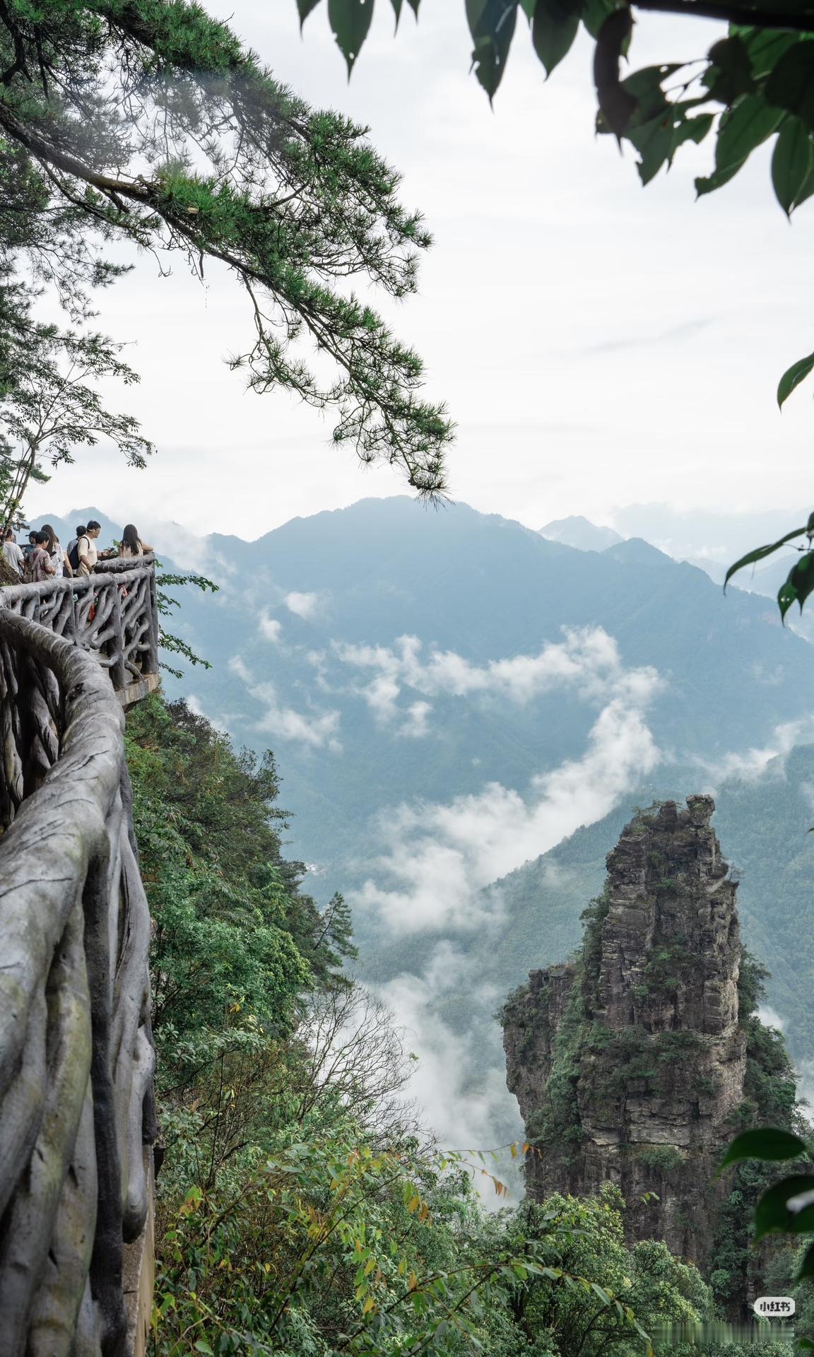 本以为张家界很美了，直到我去了这里…⛰️🌿终于找到一座不用费力攀登的仙山了
