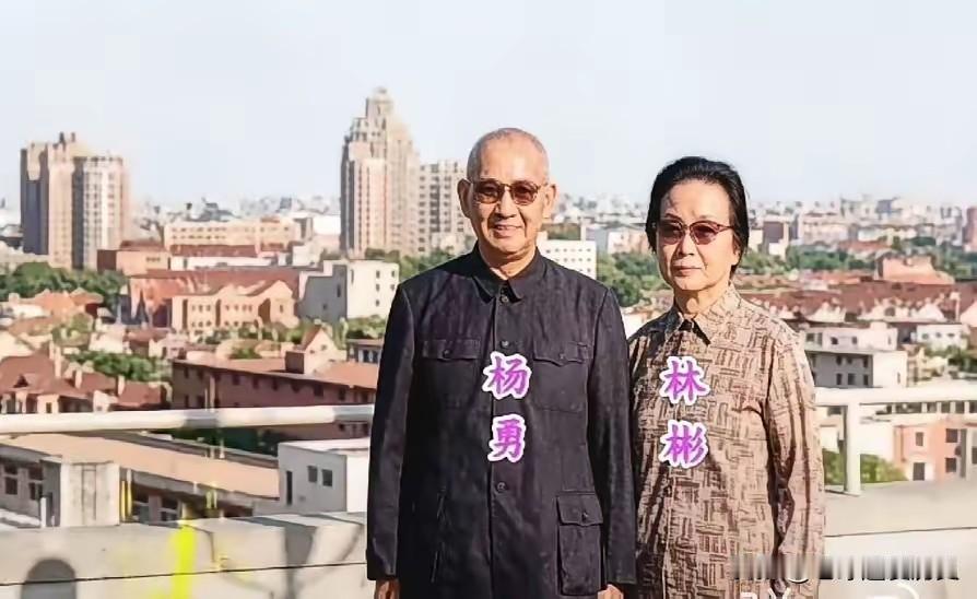 这张照片记录下了1982年开国上将杨勇和夫人林彬在上海的珍贵时刻。那时的杨勇将