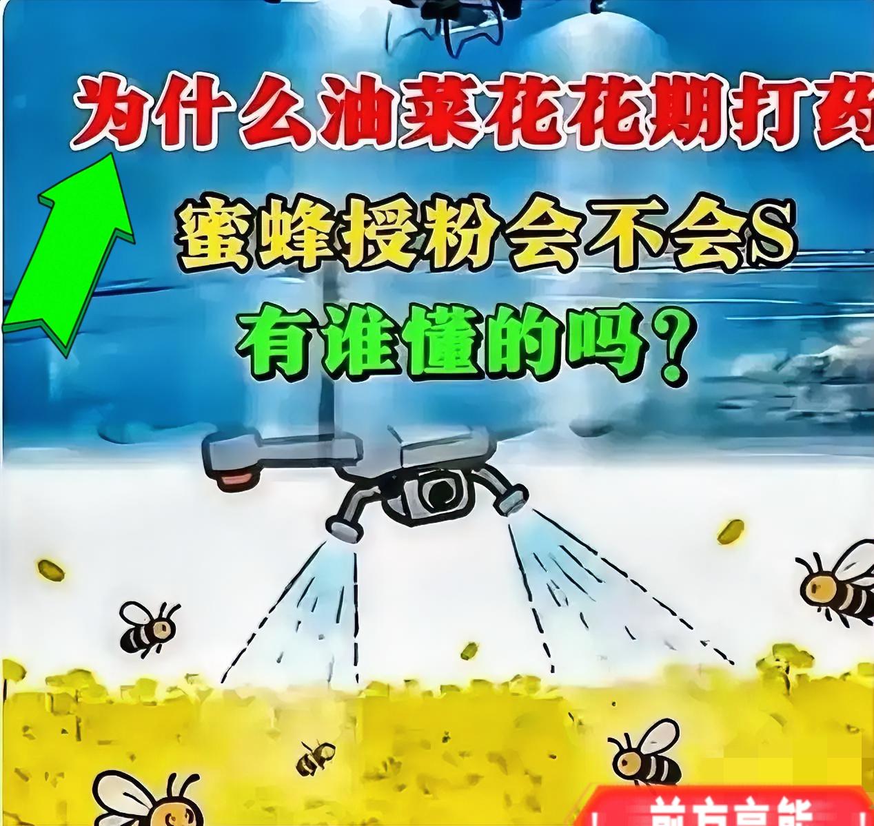官方回应油菜喷药致蜂农损失惨重！在国际形势非常紧张的情况下，这事绝不简单！油菜