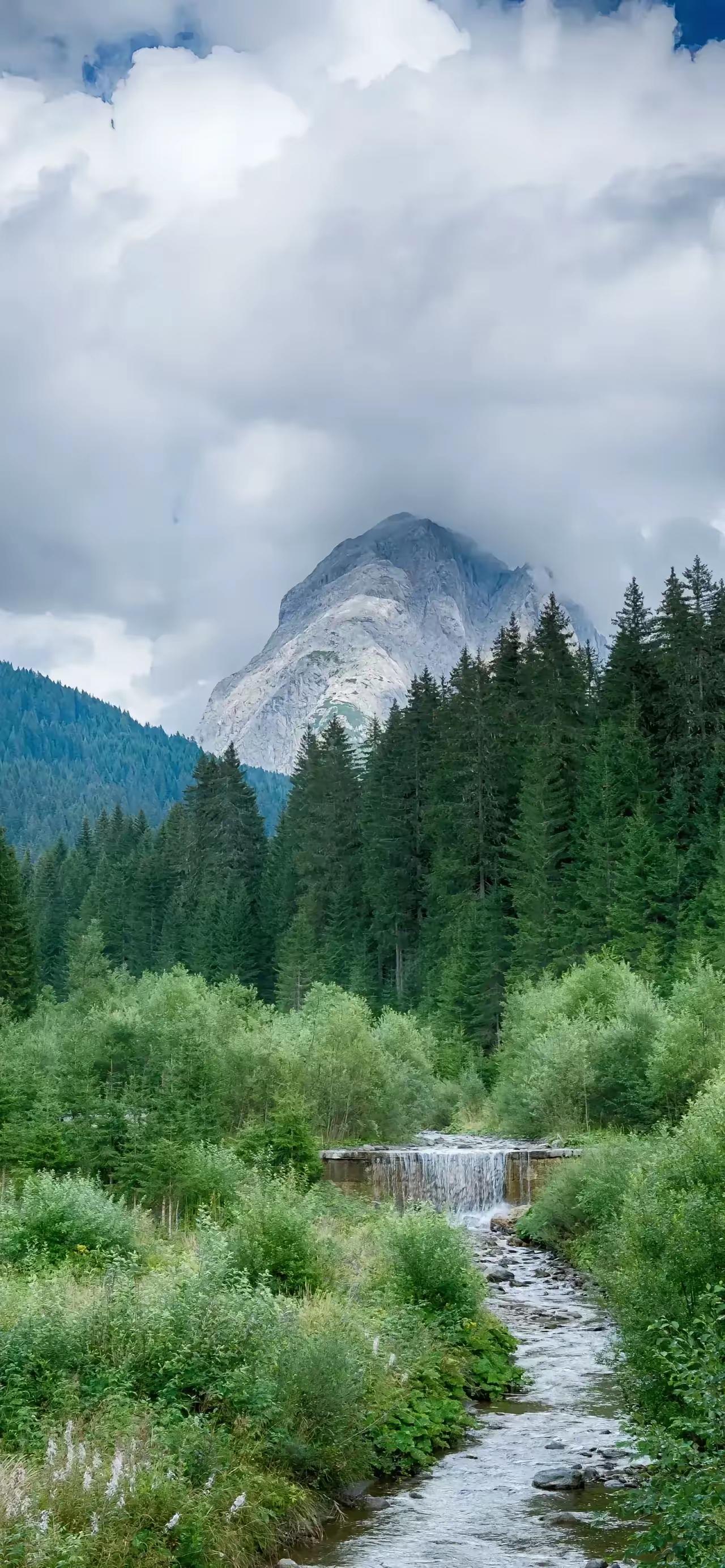 一位老人说，人死了，就让孩子把骨灰扔垃圾桶。如果孩子于心不忍，就让他找野地挖个坑