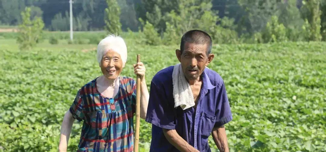 “唉，大半辈子重男轻女，现在可后悔了”前段时间回老家，碰见邻居三嫂子，她这话