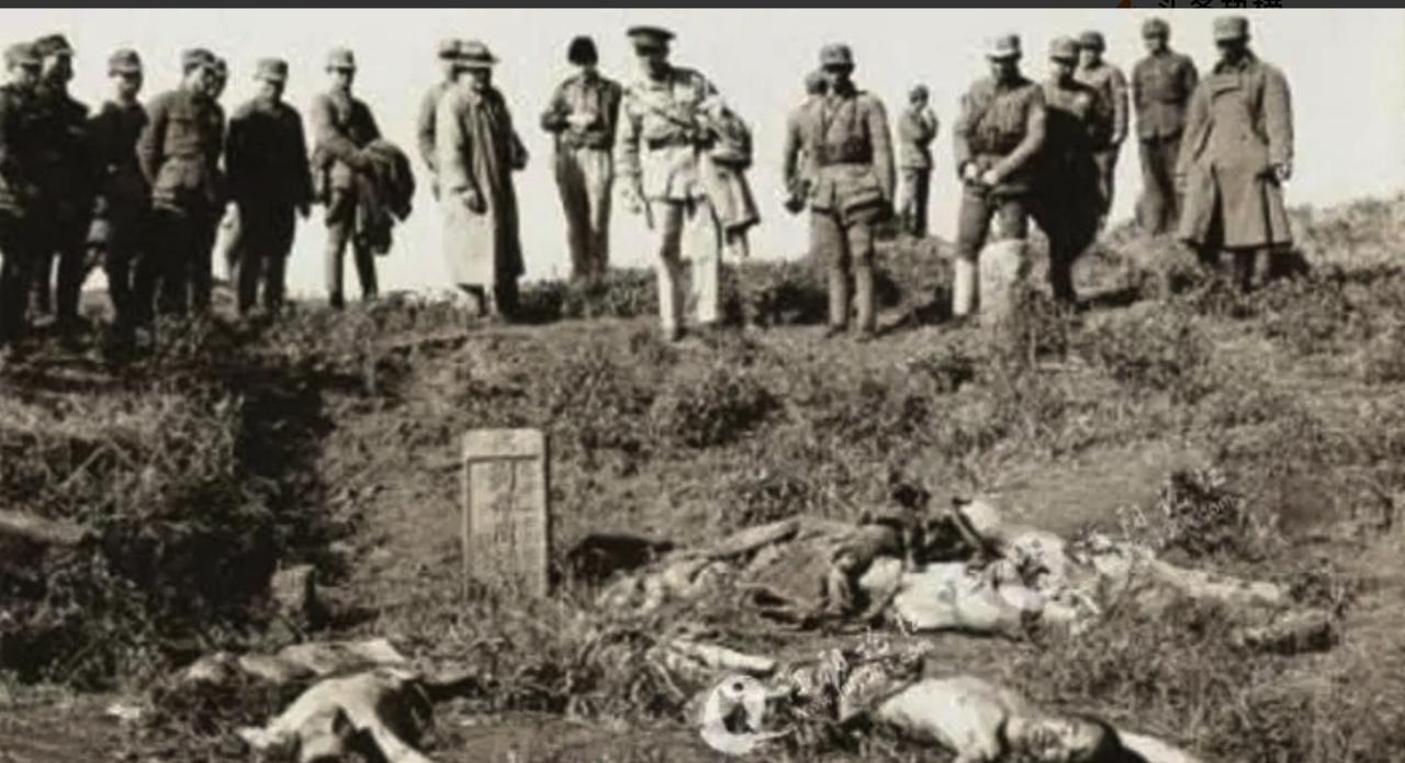 1942年初，蒋介石派人视察长沙阵地。见满山日军尸体，一参谋脱口而出：“这么多鬼