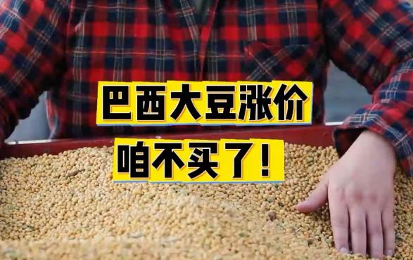 没有美国的命，别患美国的病！巴西这次的操作，简直把这句话演绎得明明白白。