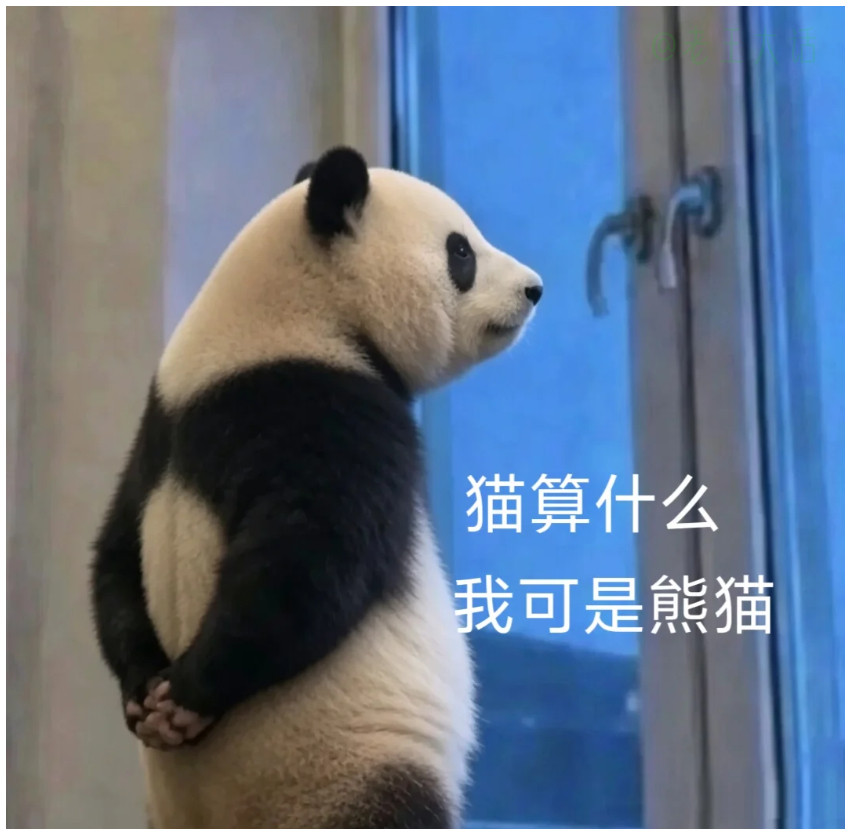 猫和负鼠被我干掉了我才是最后的赢家