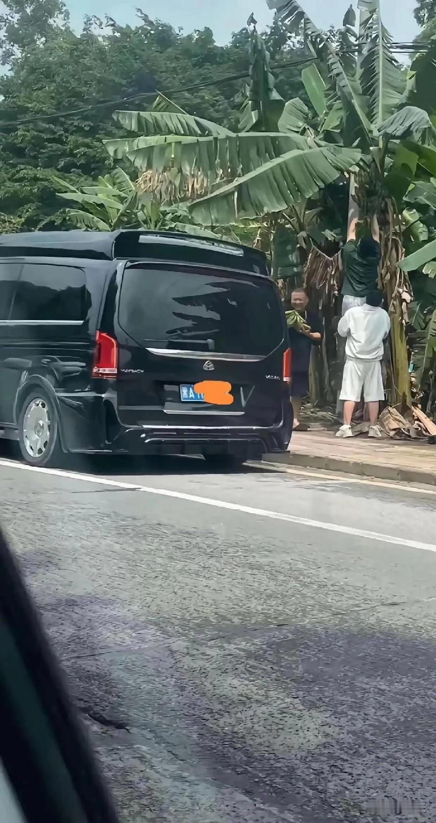 最近东北人被热议，因此网友给南下的东北人几条建议。1：不要偷人瓜果蔬菜2：