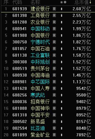 科技大时代远远不够；后面大家会看到总市值排名前十的基本都是科技股，这样