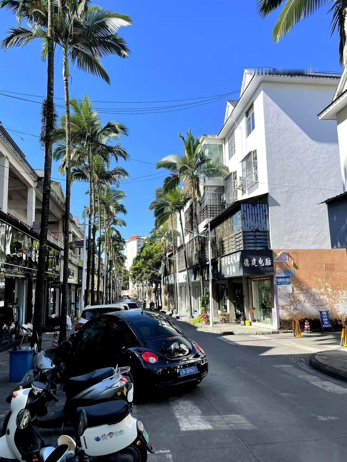 我家那口子，又在群里“放毒”了。发了个视频，说在云南热海，拿96度的温泉水煮鸡