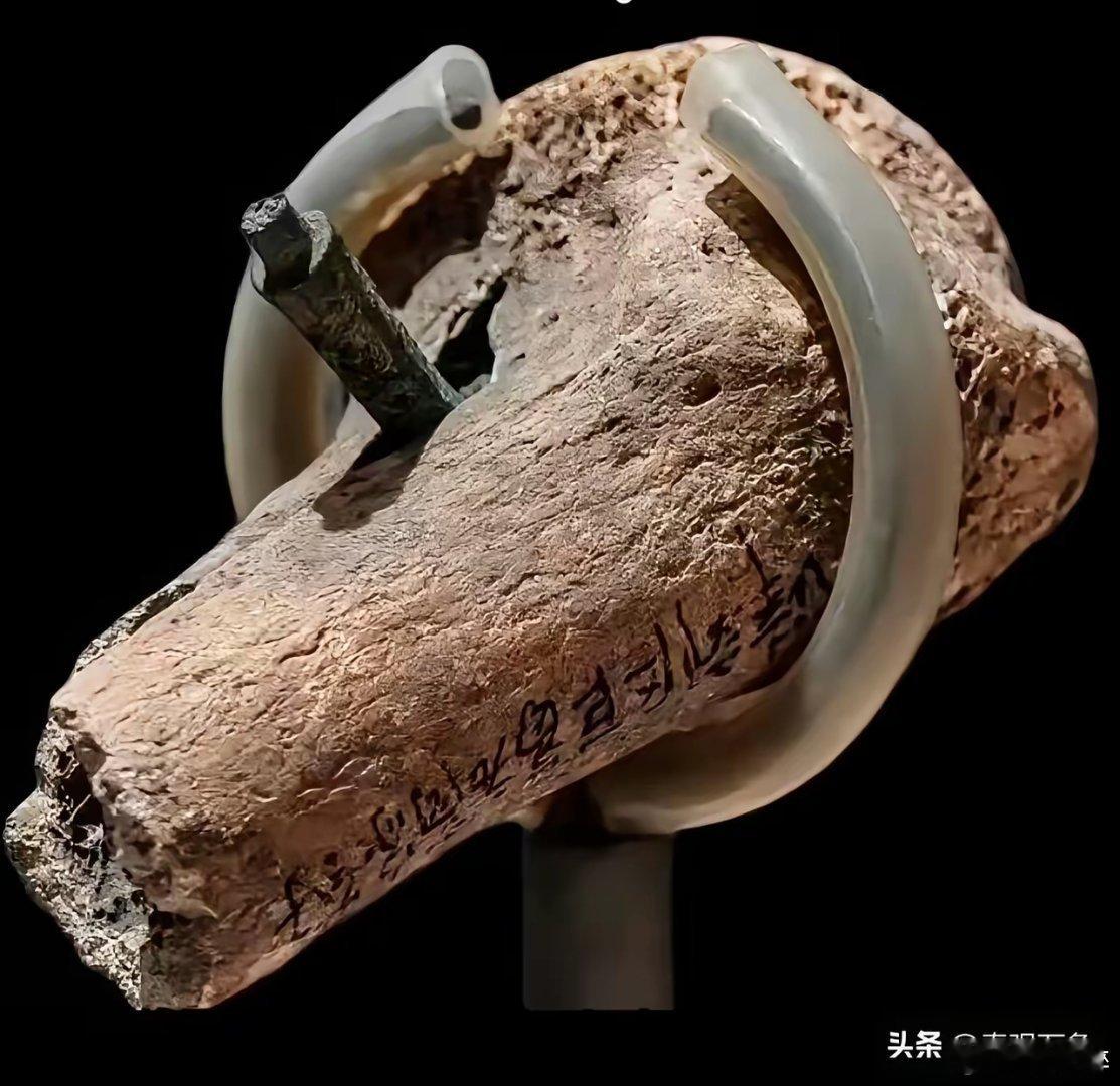 2400年前的土兵战争时腿部中箭，至今仍插在骨头里！深度达6公分，战国时期，天津