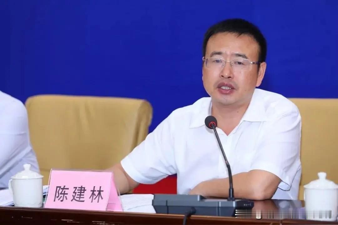 8月6日，广西纪委监委对外公布处置通报，防城港市政协原党组成员、副主席陈建林，被