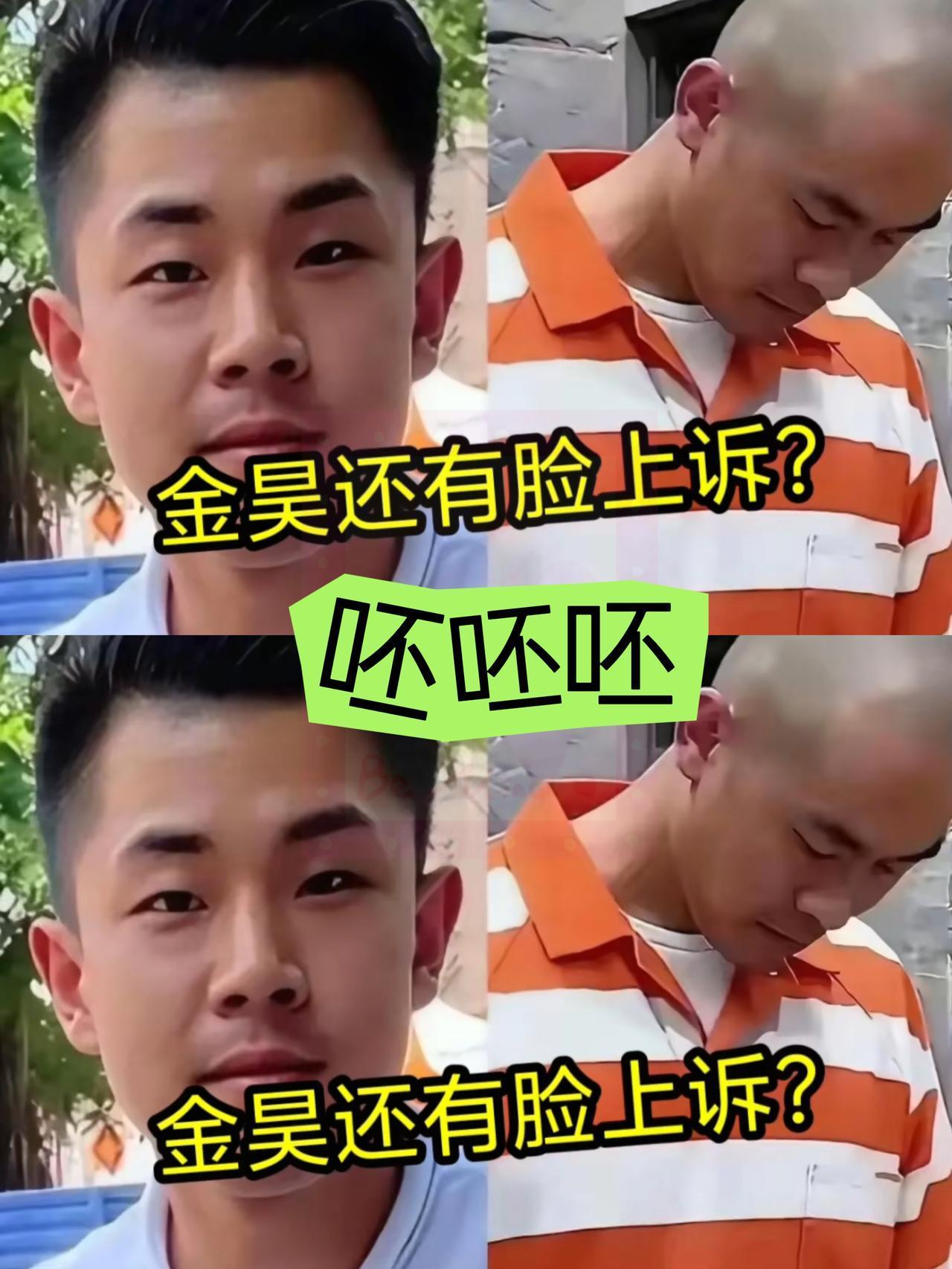 老金毛为了儿子最后一搏，他不惜一切代价希望保住金毛的性命金毛一审判