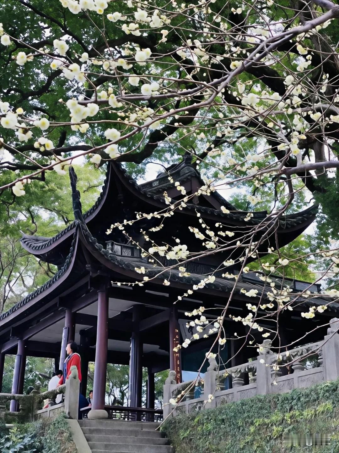 上联:露润桃花烟笼柳下联:风摇李蕊月照梅横批:春意盎然