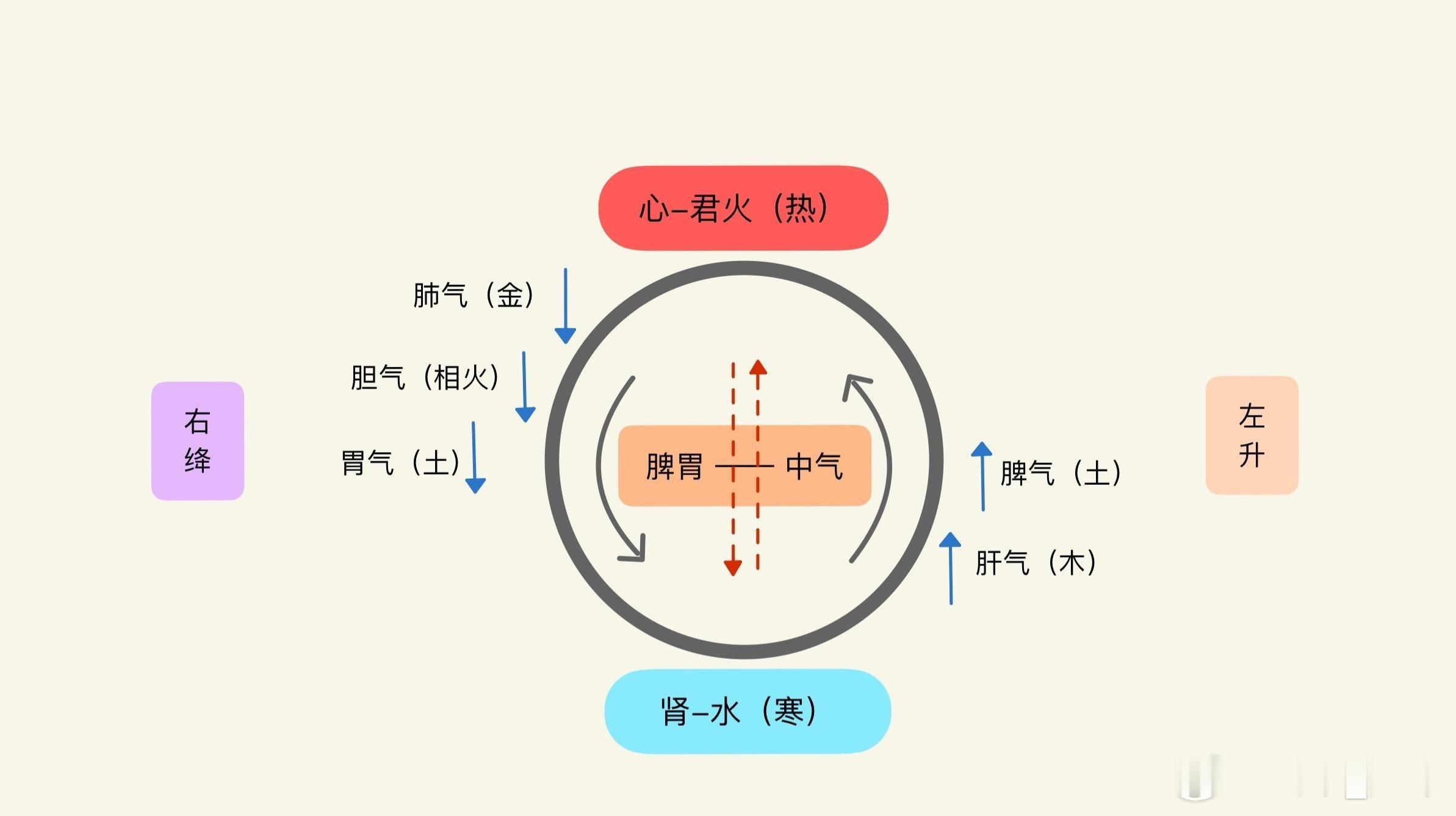 师父告诉我：“阳气衰则人癫狂，驱走邪气，精分自然消，用紫苏叶就行。”阳气对于人体