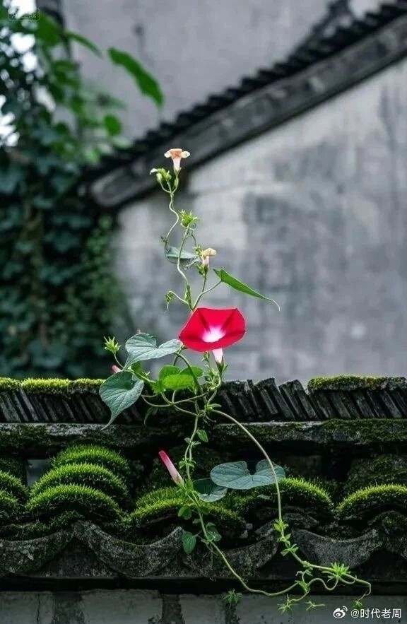 都说赵匡胤和郭荣是千古君臣佳话，其实根本不是那么回事。赵匡胤自己都说过，天天跟在