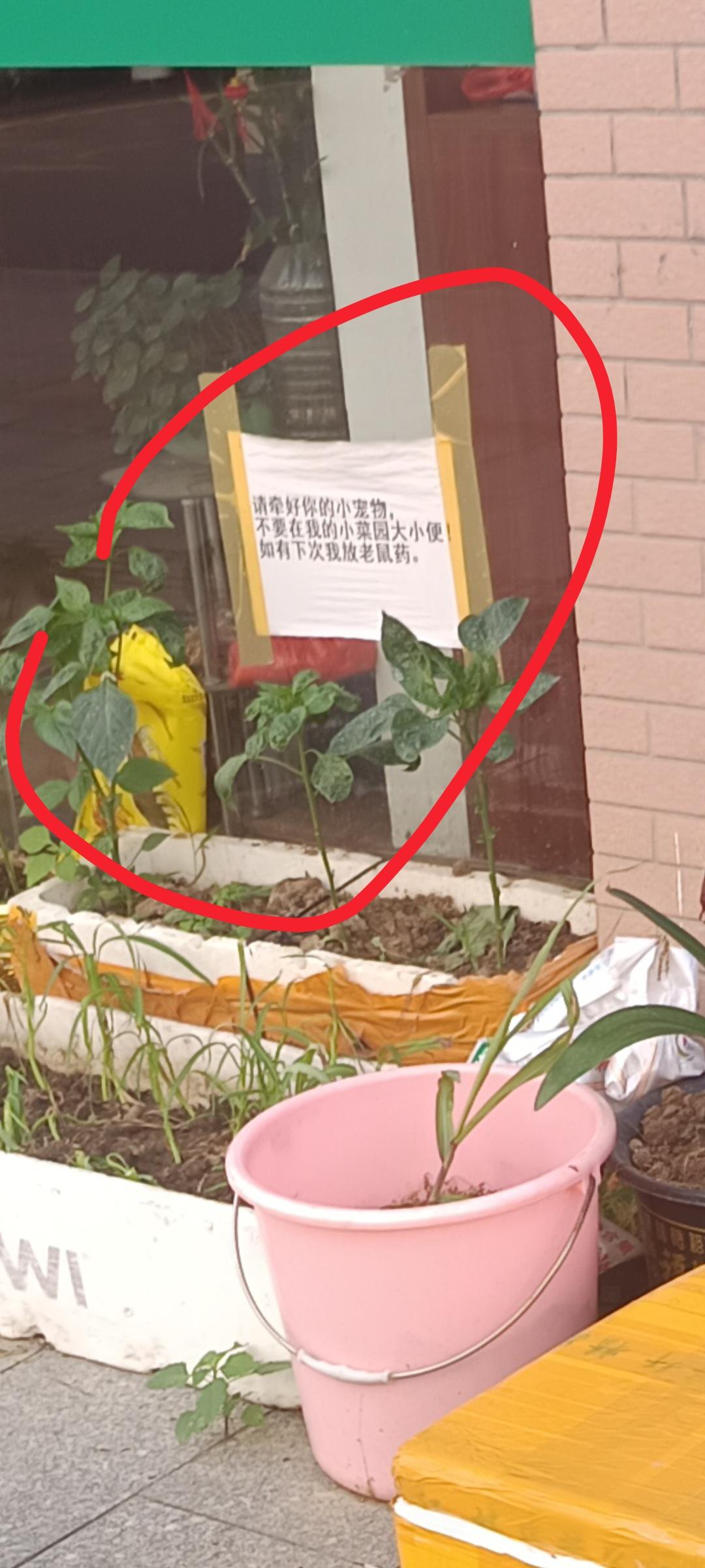 我终于知道了为什么都有这么多人养狗却依然有些人不喜欢狗的你敢相信我吗？