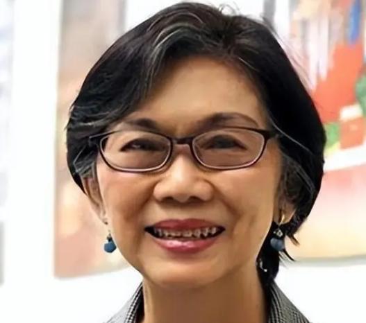 新加坡大使一语惊人：不管中国愿不愿意，这枚导弹，已经替中国回答了全世界！七月的太