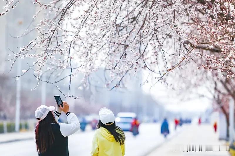 上联“冰天雪地送冬去”真的很妙，描绘出严寒景象，还藏着冬去春来的期待。我觉得“鸟