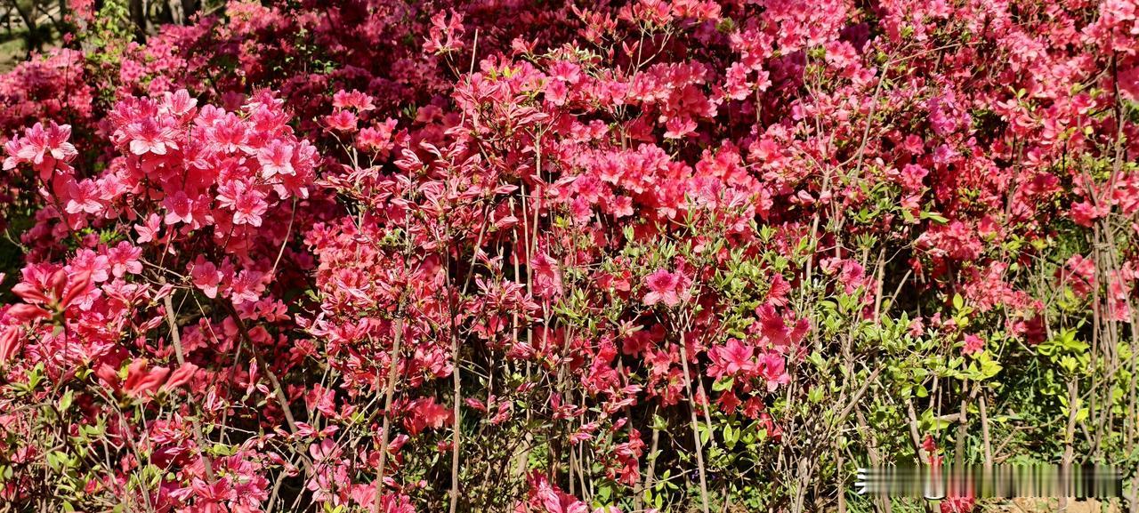 每天早上想辞职，打开招聘软件翻了三页又关上了先讲个真事儿。我有个朋友，在