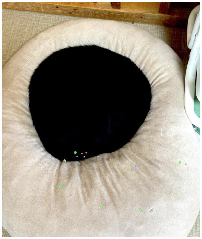 养了只黑猫之后，家里经常会出现一个黑洞