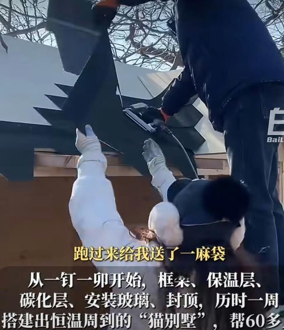 博主为60只流浪猫建过冬别墅简直太幸福了。冬天是流浪猫最难过的季节了，你给它一