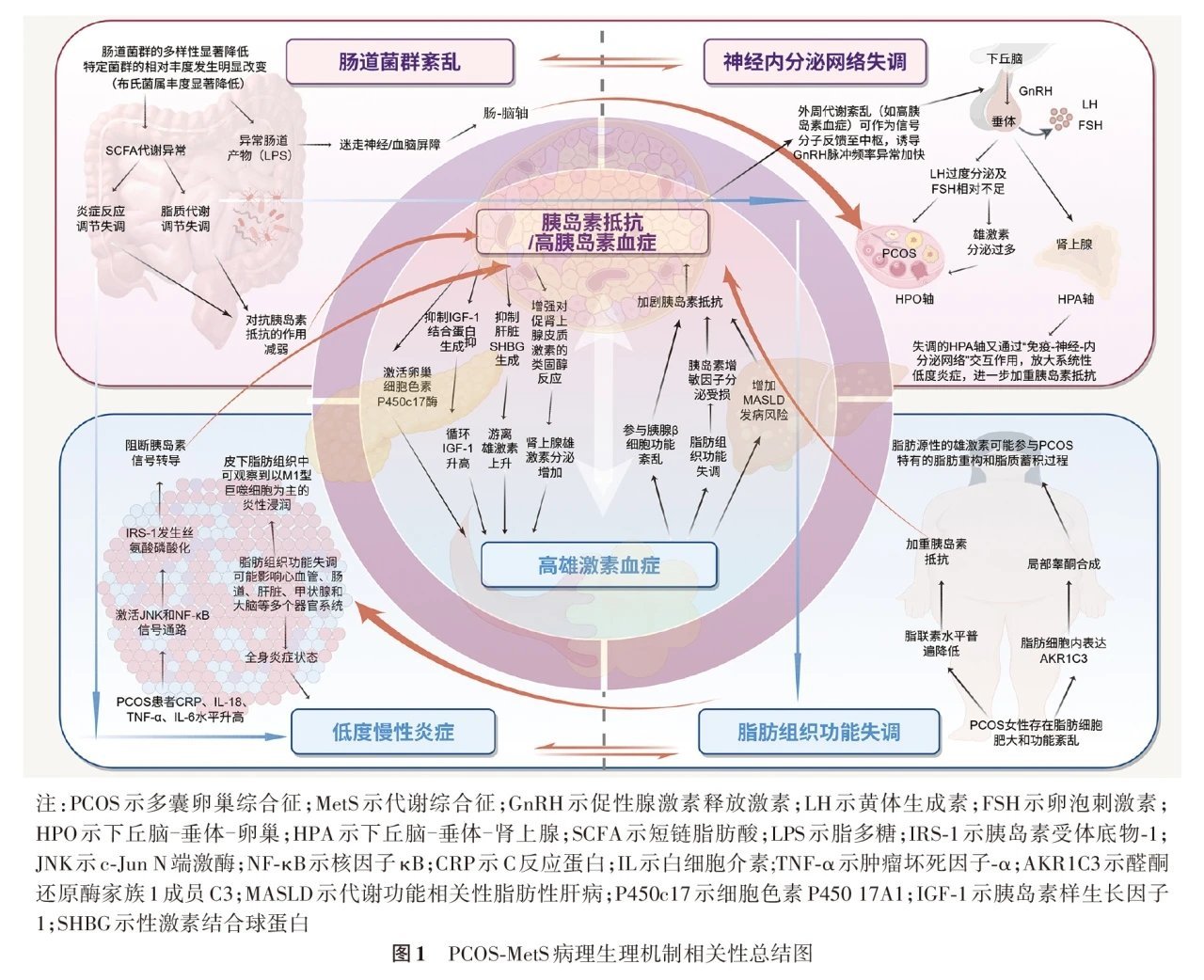 多囊卵巢综合征是全身代谢问题¹名字是今年改的，但临床上的对症治疗早就改了。现在