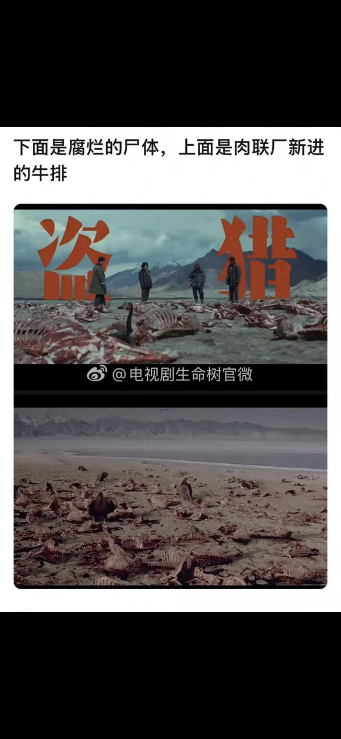 杨紫、胡歌新剧生命树抄袭这么明显，居然都没有十几年前的画面有质感