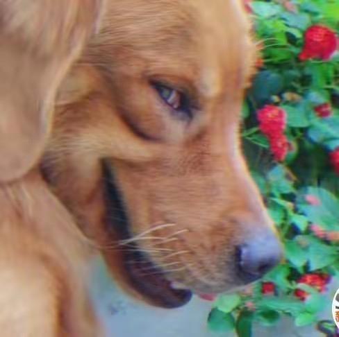 不作妖远离主角小说世界努力搞钱