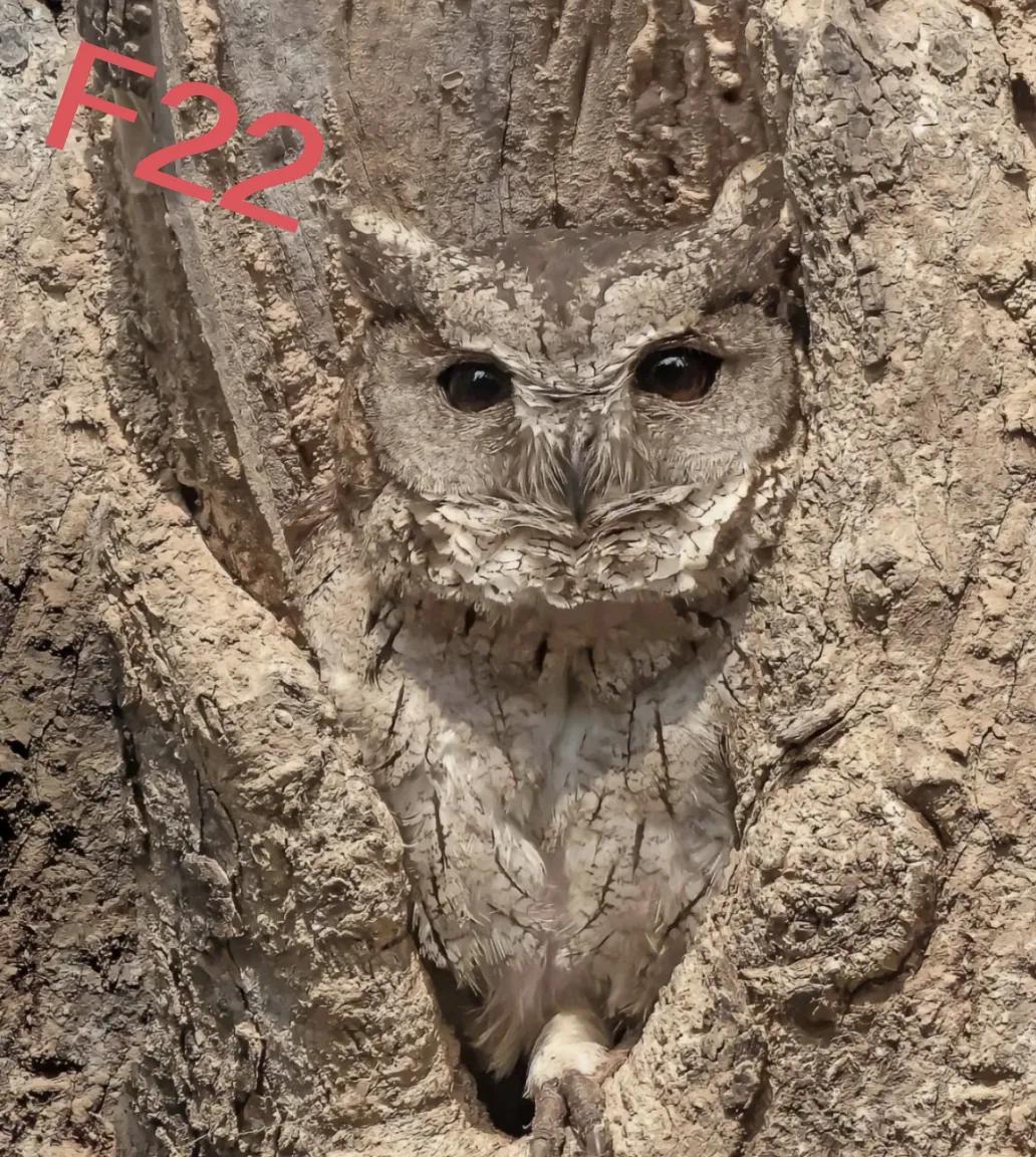 中美俄三国五代机隐身能力直观对比！F22猛禽的隐身能力相当不错，整体上不存在什