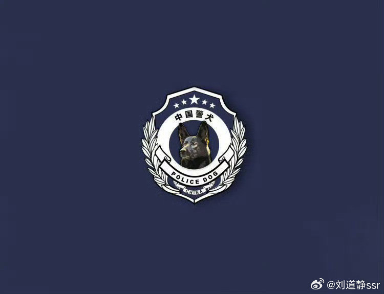 中国警犬logo形象犬是它这只狗狗看着太帅了！中国的警犬就是帅✌🏻​​​