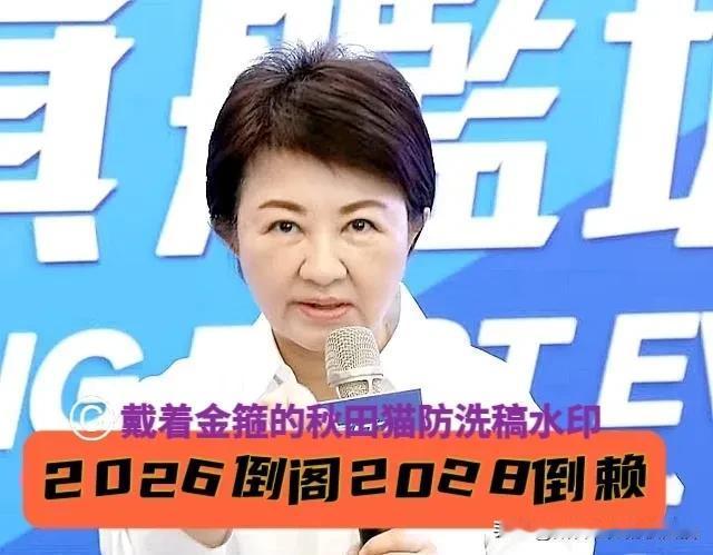 卢秀燕火力全开！2026喊“倒阁”、2028喊“倒赖”，蓝营女战神向绿营霸气宣