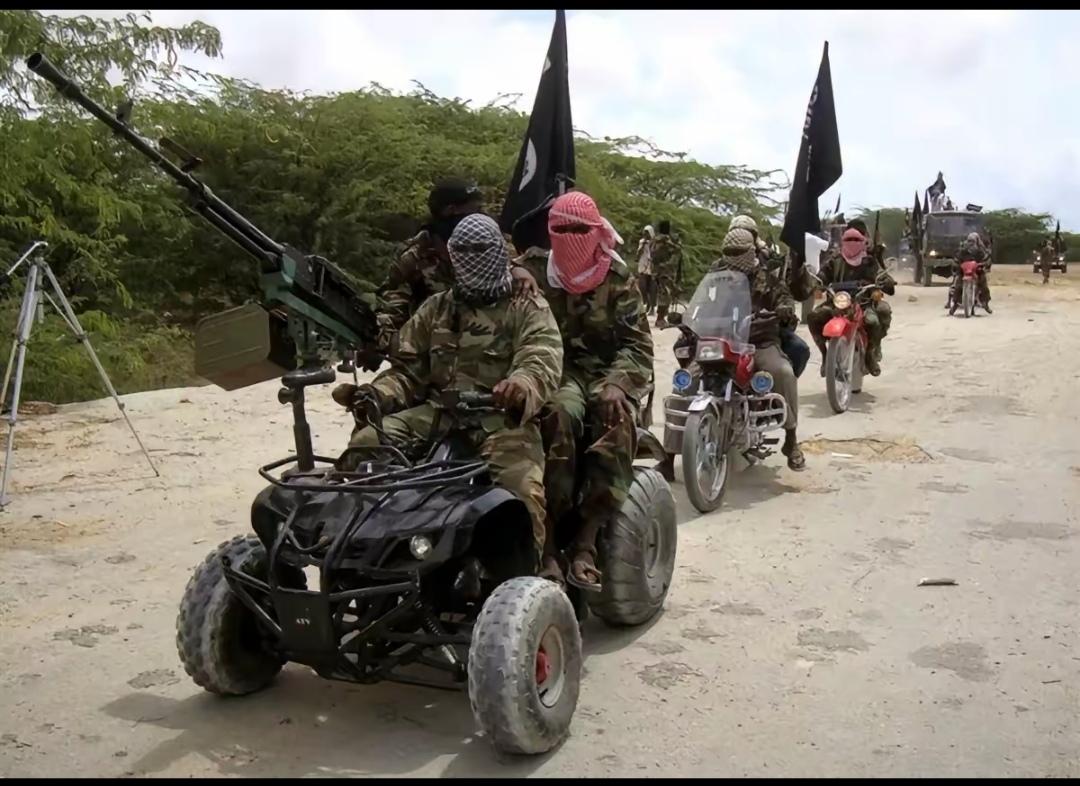 法新社消息，当地时间2日，尼日利亚、喀麦隆、乍得等非洲国家相继表态，表示如果美国