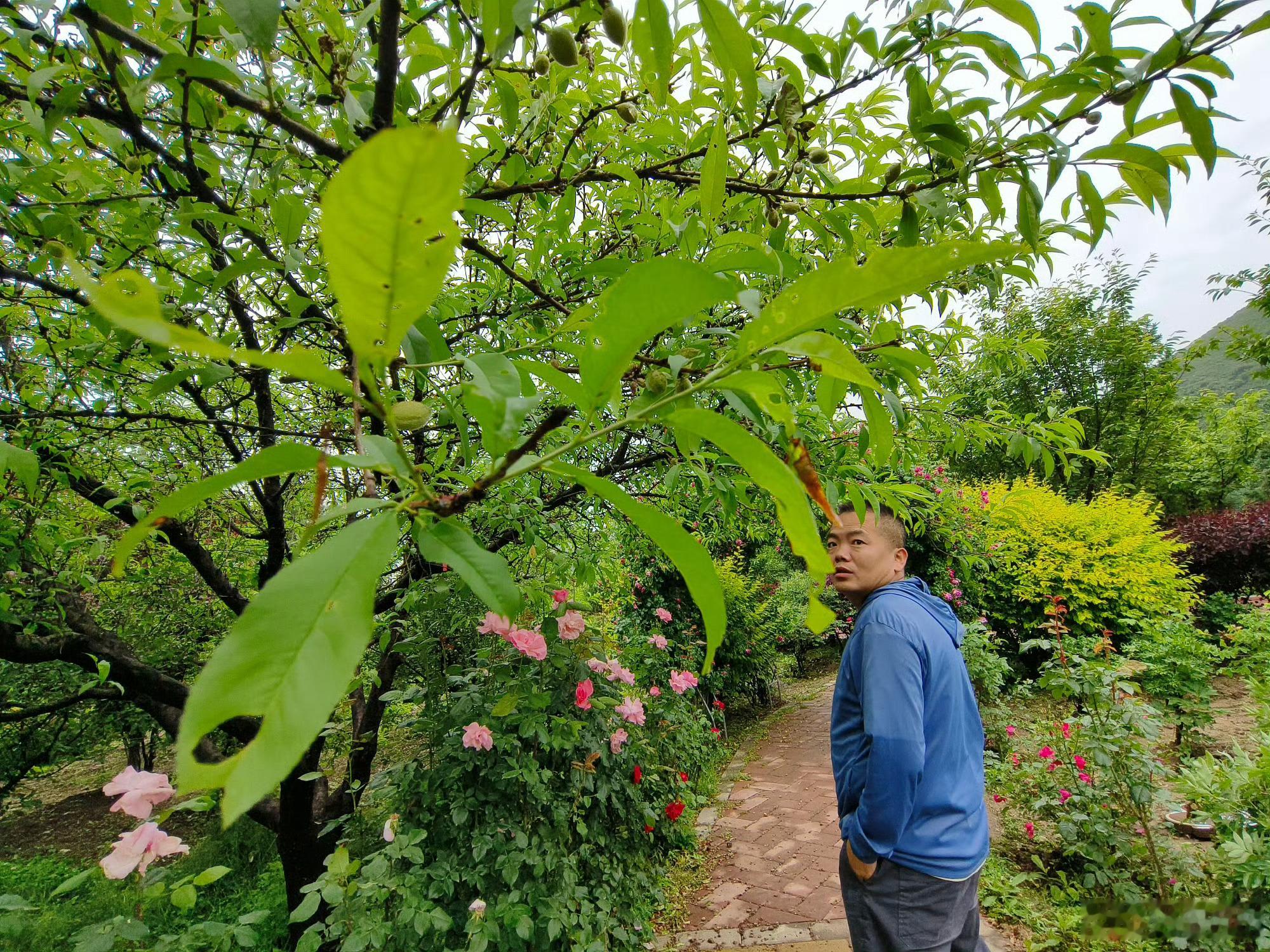 甘肃贵清山植物园的生态之美【生态为基，贵清山植物园绘就绿色画卷】雨后初霁，