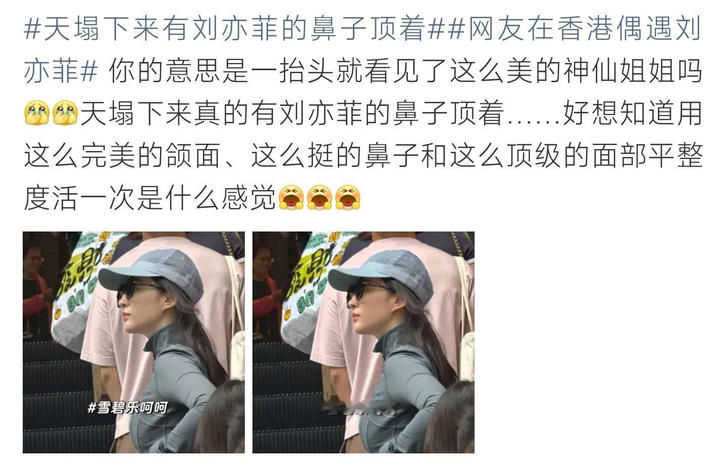天塌下来有刘亦菲的鼻子顶着 网友香港偶遇刘亦菲，生图侧颜线条优越，高挺鼻梁出圈，