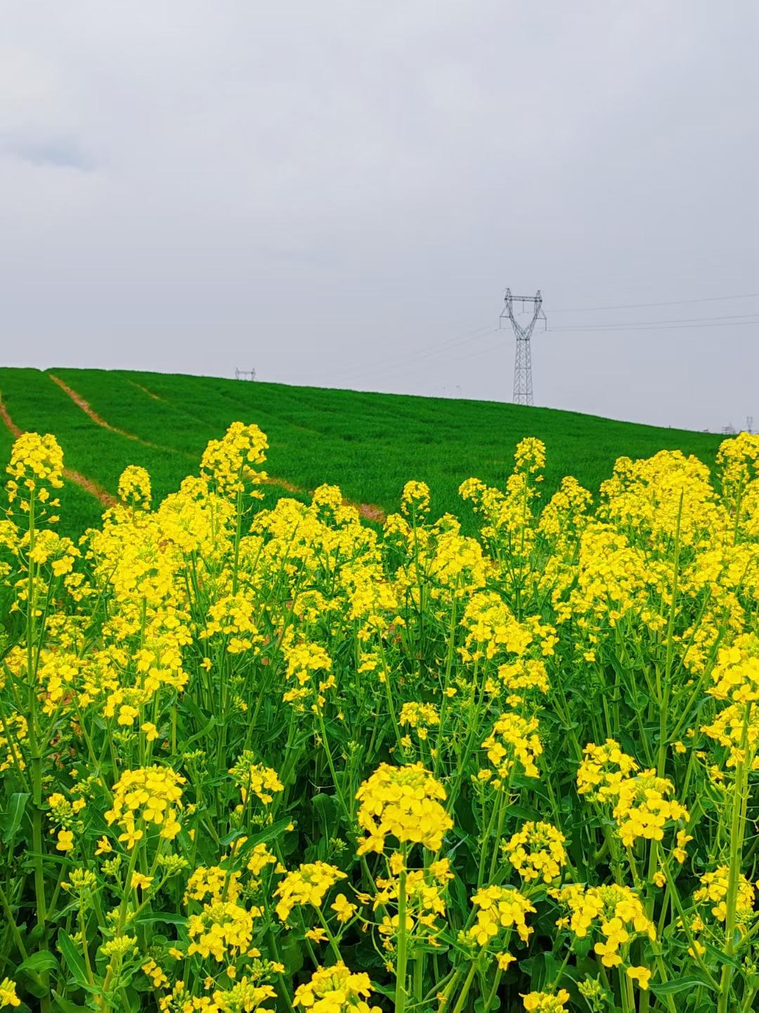 各位初三和高三的学生家长，请一定要搞清楚现在是几月份了，现在是2月7号，
