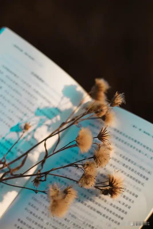 早安分享每天保持好心情，传递正能量！人生有三把钥匙：接受、改变、放开。不必将