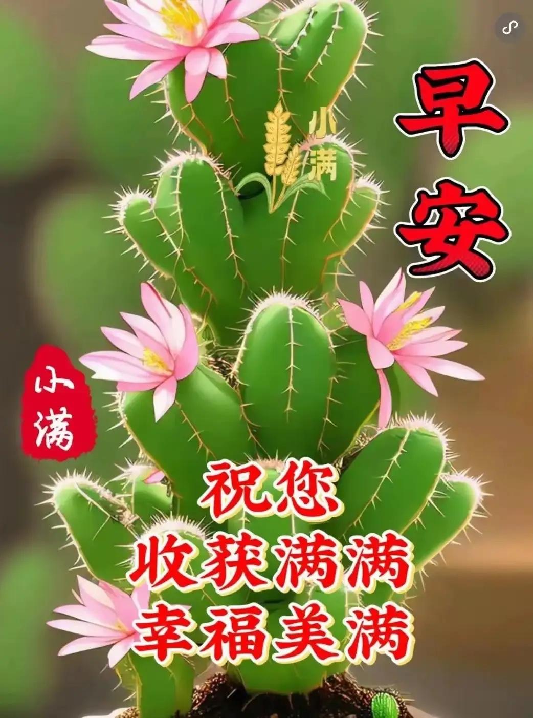 小满属二十四节气，也可当作你我的生活态度。追求大幸福太苦太累，不如品尝小快乐、小