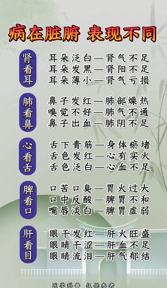 耳、鼻、眼、舌、口，藏着脏腑的健康信号