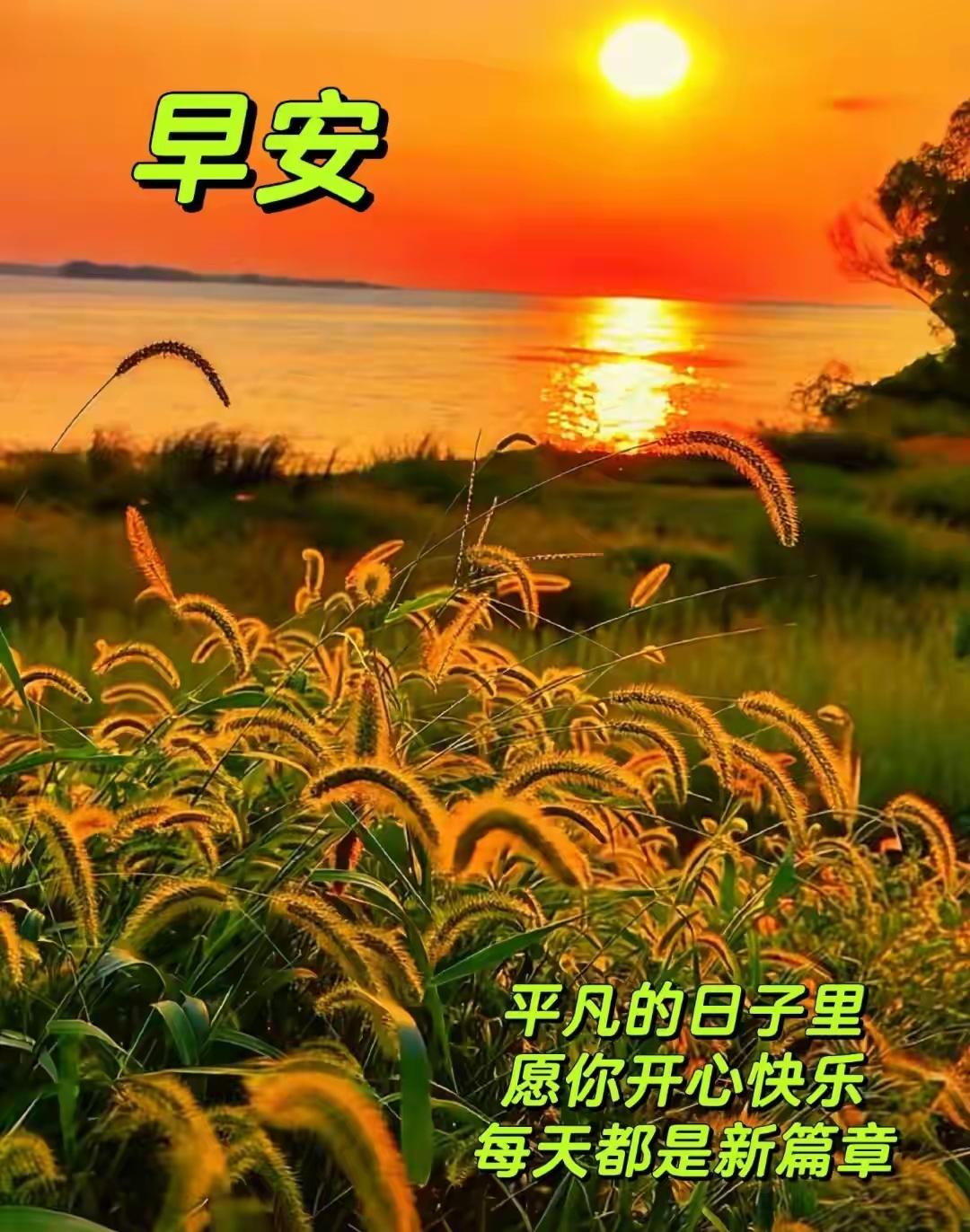 告别炎炎夏日，迎来清爽初秋，愿三餐四季，温柔有趣，处暑早安。