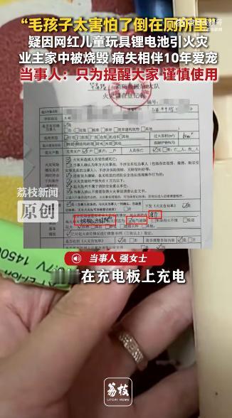 玩具引火灾致相伴10年狗狗离世女子回应玩具引火灾致狗狗离世，近日，江苏无锡，强