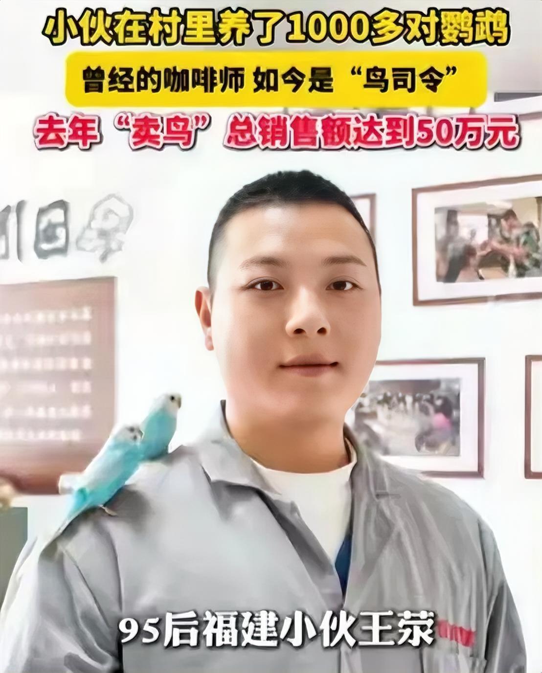 97年小伙跑到浙江农村养鸟年入50万：这届年轻人，正在用“地理套利”收割富人