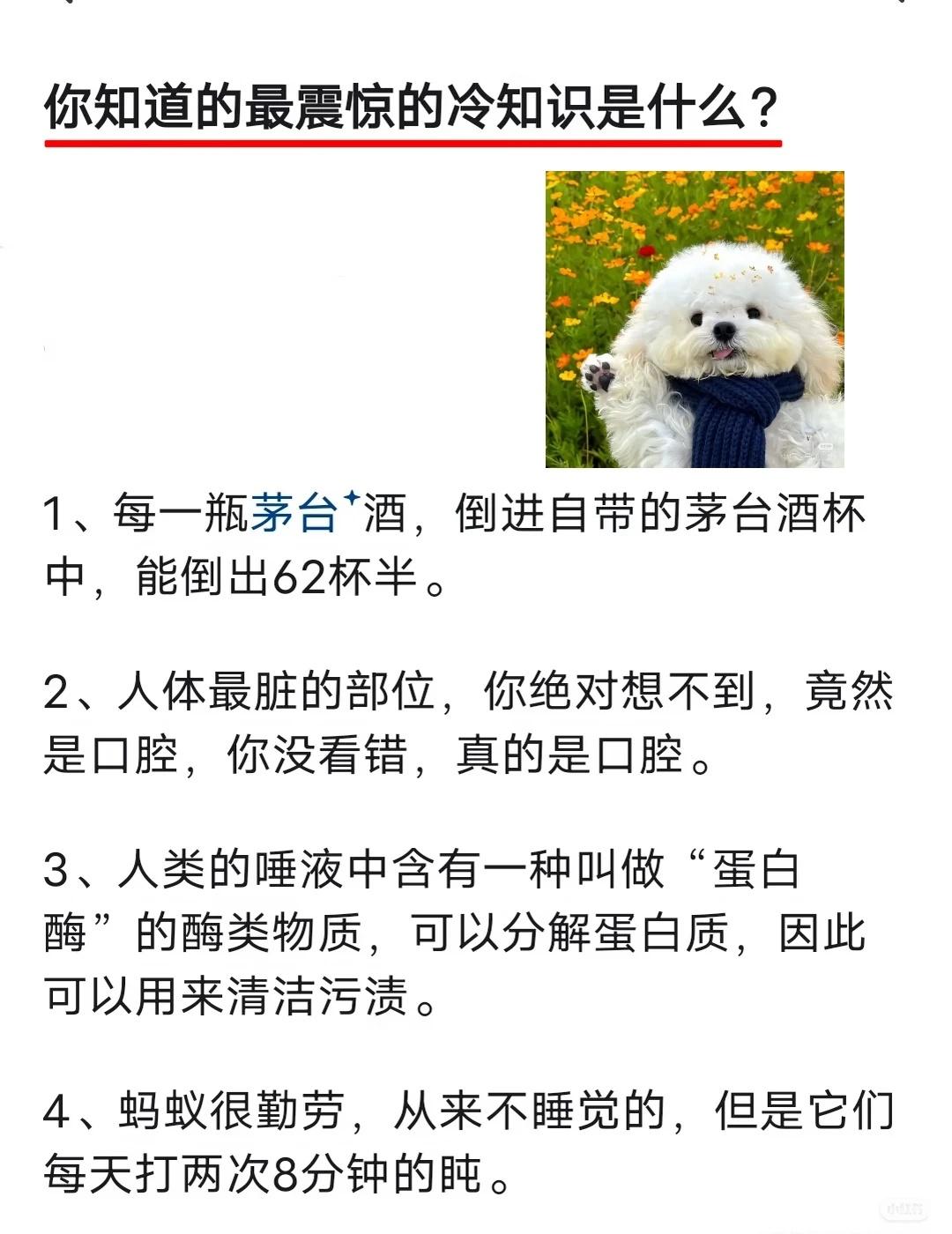 你知道的最震惊的冷知识是什么？howto奶茶兑酒测试话题005神奇的知识