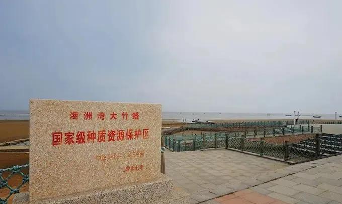到日照肯定要赶海，这里有被誉为