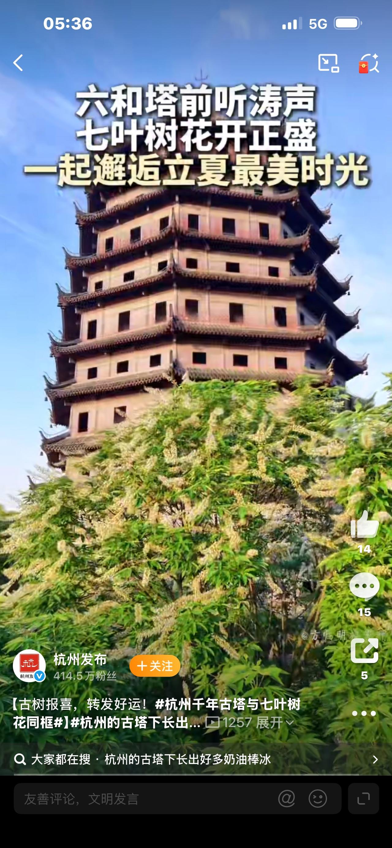 标题：美到窒息！杭州千年古塔撞衫“奶油棒冰”花，一眼沦陷江南初谁懂啊！杭州初夏